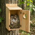 thumbnail image 4 of Casa nido para pájaros KraAra de cedro para exterior con protector de cobre, 1 unidad, 4 of 7