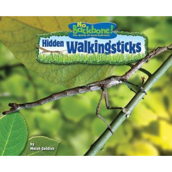 Pre-Owned No Backbone! Insects: Hidden Walkingsticks (Hardcover)