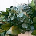 thumbnail image 5 of ANDALUCA 20" Preserved Real Natural Eucalyptus Wreath (Mixed), 5 of 6