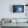 thumbnail image 2 of Canvas Wall Art - Faris Saieda 'The Ice Cave' Wall Art for Living Room, Bedroom, or Office D?cor by Trademark Fine Art - 19 x 12 Inches, 2 of 4