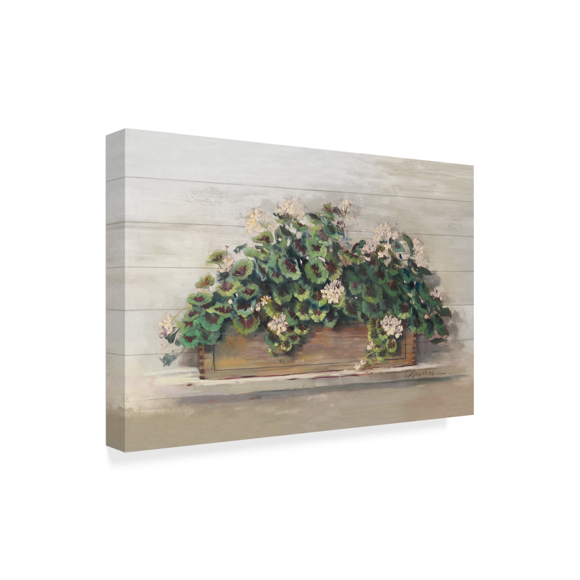 Trademark Fine Art 'Market Geraniums Crop' Canvas Art by Carol Rowan