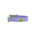 thumbnail image 3 of Aria the Fox Waterproof Dog Collar, 11 - 13 Inch, Lavender, Green, 3 of 5