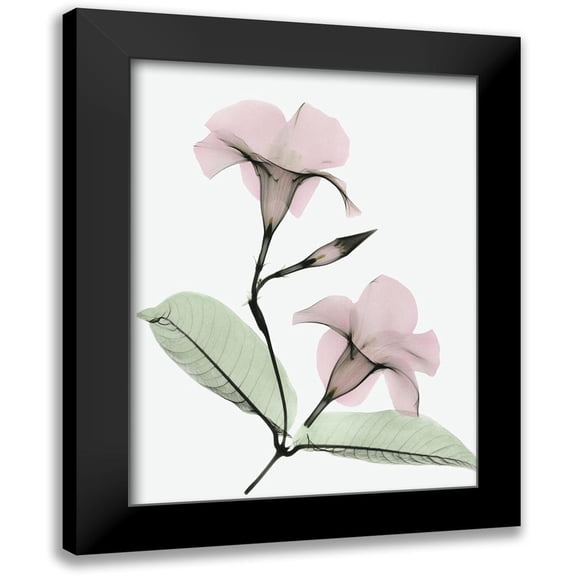 Koetsier, Albert 12x14 Black Modern Framed Museum Art Print Titled - Serene Mandelila