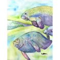 thumbnail image 1 of Carolines Treasures 8544CHF Manatee Flag Canvas House Size, 1 of 4