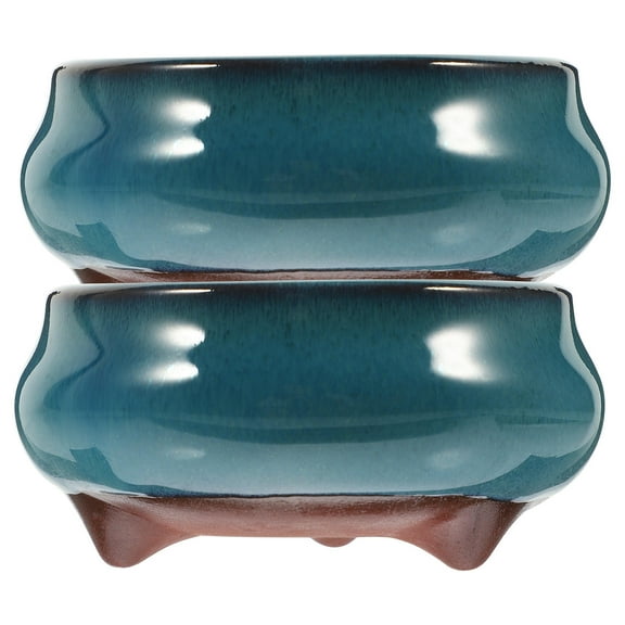 Worgeous 2pcs Ceramic Planter with Drainage Hole for Succulent Plants