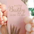 thumbnail image 3 of ZAIBIANHAO A Little Bunny is On The Way Baby Shower Balloons Arch Decal - Some Bunny Party Background Decal for Spring Easter Rabbit Themed Baby Shower, 3 of 6