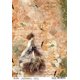 thumbnail image 1 of hola bella Ciao Bella CBRP026, 1 of 1