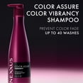 thumbnail image 6 of Nexxus Color Assure Shampoo For Color Treated Hair For Vibrancy Powered By Chromabond Sealer With Citric Acid ,13.5 Fl Oz, 6 of 14
