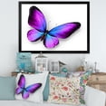 thumbnail image 3 of Designart 'Blue and Violet Butterfly' Modern Framed Art Print, 3 of 4