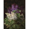 thumbnail image 3 of Jensen, Johan Laurentz 15x18 Black Modern Framed Museum Art Print Titled - White and violet lilac, 3 of 5
