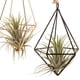 thumbnail image 3 of Terrario de vidrio con estaciones de propagación, planta con forma geométrica, soporte de hierro, soporte para plantas de aire, decoración para el hogar y la oficina., 3 of 8