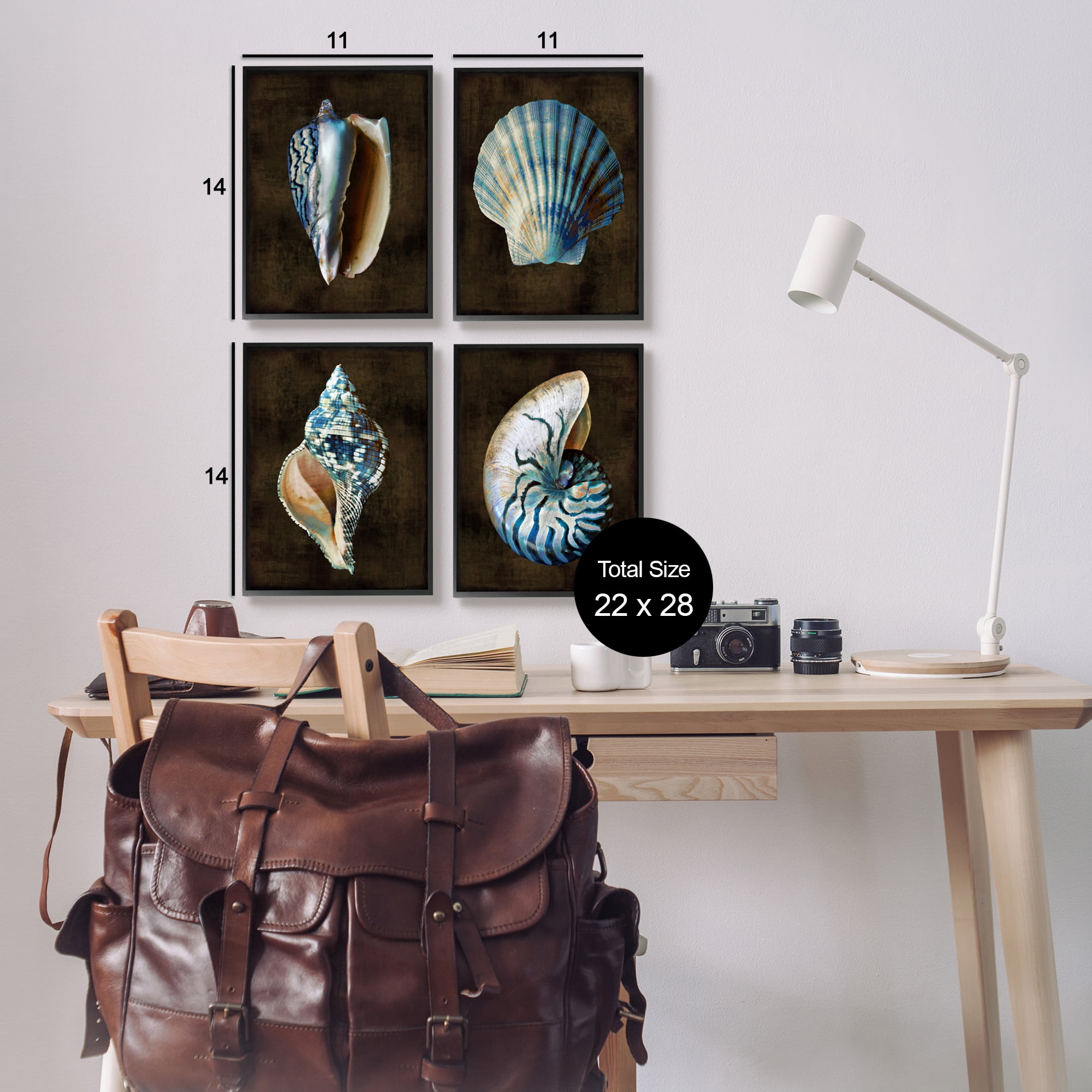 Stupell Industries Seashells on Black Animals & Insects Painting Black Framed Art Print Wall Art, 11 x 14, Set of 4