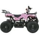 thumbnail image 2 of Cuatrimoto Atv Niños Motor A Gasolina Little monkey 49cc Con Tumbaburros, 2 of 4