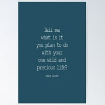 Tell Me What Is It You Plan To Do With Your One Wild And Precious Life, Mary Oliver Quote, Inspirational Poster Wall Art, Modern Wall Decor For Living Room Bedroom, 12x18 UNFRAMED