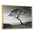 thumbnail image 2 of Designart "Monochrome Coastal Horizon With A Solitary Tree I" Coastal Minimalism Floater Framed Wall Art Prints, 2 of 5