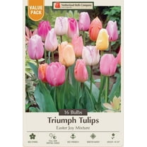 Easter Joy Mix Tulip - Soft Pastel Hues - 12/  cm Bulbs - 16 bulbs