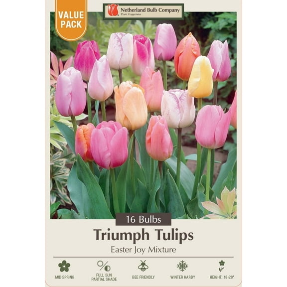 Easter Joy Mix Tulip - Soft Pastel Hues - 12/  cm Bulbs - 16 bulbs