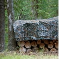 thumbnail image 4 of Strategy True Cover Weather Resistant All Purpose Polyethylene Camo Tarp 8’ x 6’, 4 of 7