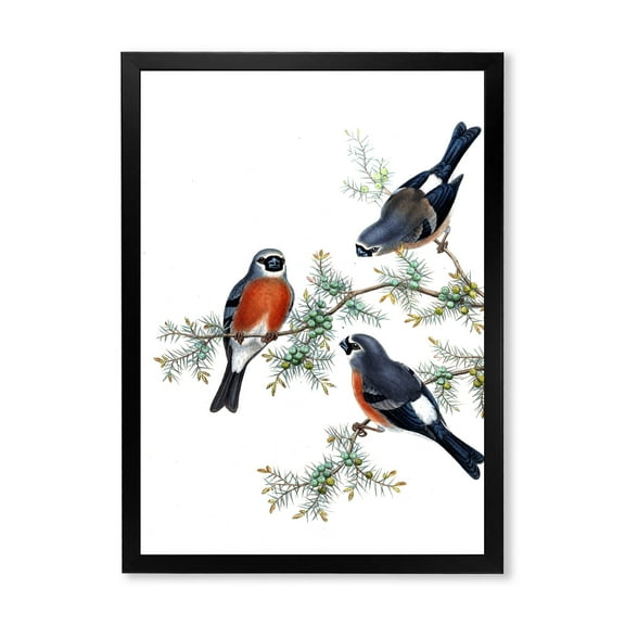 Designart 'Vintage Countryside Birds On Branch III' Farmhouse Framed Art Print