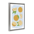 thumbnail image 2 of Stupell Industries Farmhouse Pastel Summer Oranges Gray Floating Frame Canvas Art, 21 x 31, by Martina Pavlova, 2 of 8