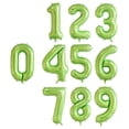thumbnail image 3 of 40inch 0-9 Number Dinosaur Balloons Easter Jungle Party Birthday Day Decoration, 3 of 10