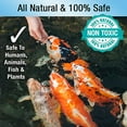 thumbnail image 2 of Ecological Laboratories Microbe-lift Pl 1 Quart - 10PLQ, 2 of 6