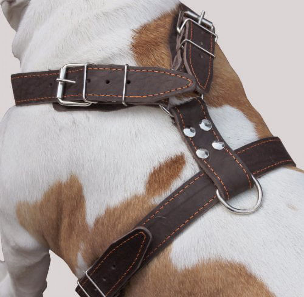 Brown Genuine Leather Dog Harness, Large. 35"-40" Chest, 1.5"Wide Straps Mastiff Great Dane