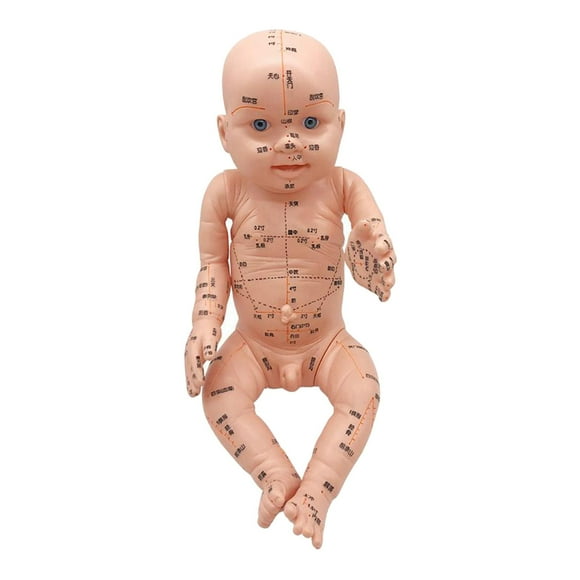 kusrkot Professional Infant Chinese Massage Model Baby-sitter Nurse Teaching