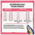 thumbnail image 3 of Beyond Superfood Blend Wild Caught Salmon, Egg & Pumpkin Recipe, Dry Dog Food 10.2kg, 3 of 9