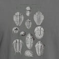 thumbnail image 3 of CafePress - TRILOBITES Men's Comfort Colors® T Shirt - Mens Comfort Colors Shirt, 3 of 5