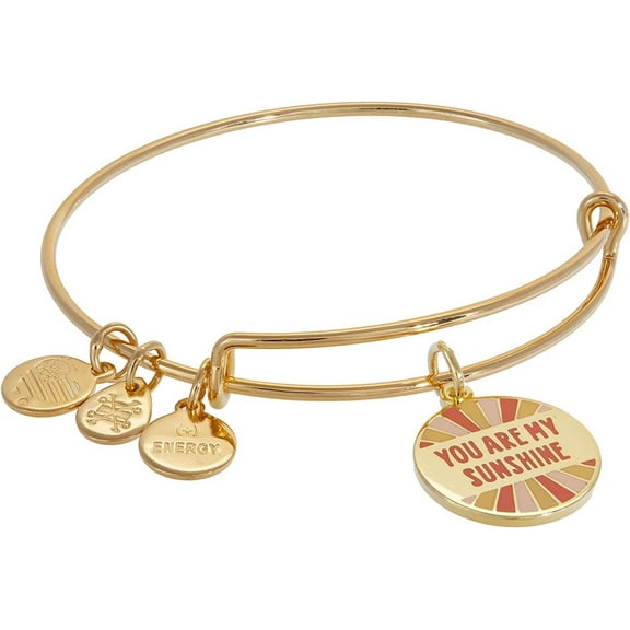 Alex and Ani Words are Powerful, You Are My Sunshine Expandable Wire Bracelet, Shiny Silver