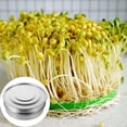 thumbnail image 4 of SWETRACE 1Jgo Accesorio De Jardinería Para Germinación Inoxidable, 4 of 6