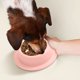 thumbnail image 5 of Comedero lento para perros, comedero lento para cachorros, comedero para mascotas, forma de An Ti, comedero para gatos, comedero para perros, comedero lento, comedero para mascotas, 5 of 6