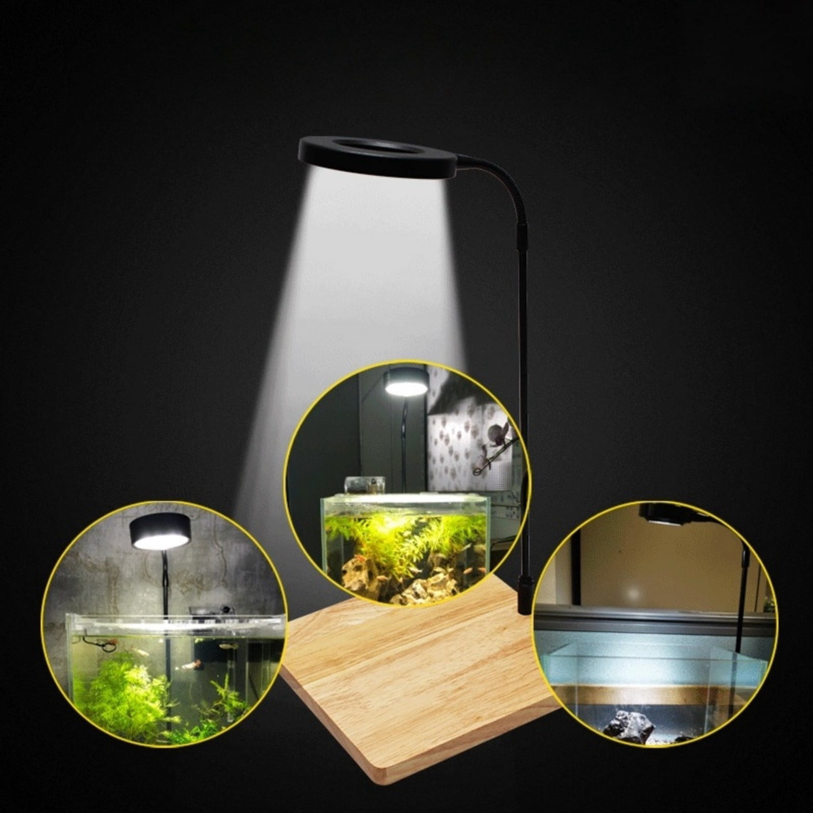 Xubinwww Three Tone Light Led Tank Lamp Board Base Lamp Aquatic Land Lamp Fleshy Potted Aquarium Lamp Night Owl Book Light Baby Gadgets Must Have 2022 Emergency Lights for Home Amethyst Lamp Light