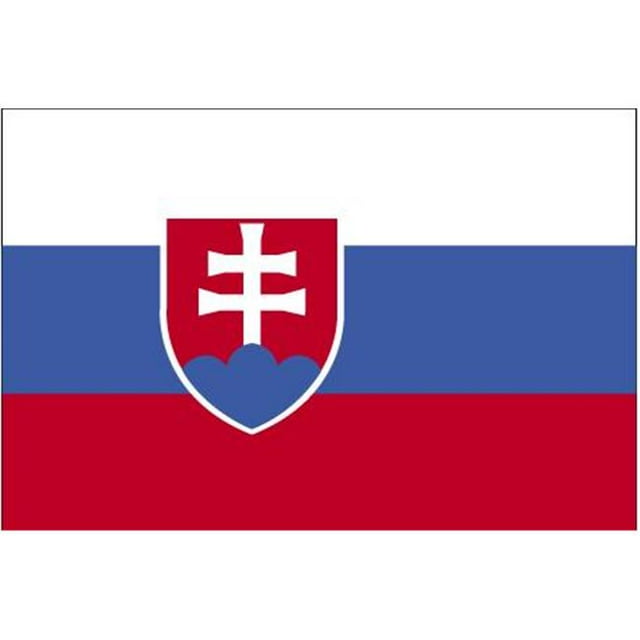 Annin Flagmakers 221815 Drapeau de la République Slovaque 5 Pi. X 8 Pi.