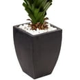 thumbnail image 3 of Nearly Natural 4.5' Spiked Agave Plastic Artificial Plant in Black Planter (Indoor/Outdoor), Green, 3 of 5