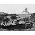 thumbnail image 2 of Aerial view of Aswan area on the Nile River, seen through trees. Poster Print by Francis Firth (24 x 36), 2 of 4