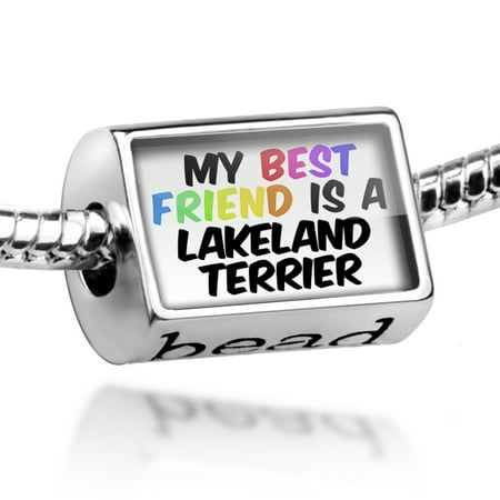 Bead My best Friend a Lakeland Terrier Dog from England Charm Fits All European (Best Brush For Lakeland Terrier)
