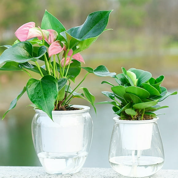 Windfall Self Watering Planter Pots Plastic White Flower Plant Pot Self Watering Plant Flower Pot Water Container Plastic Planter Home Garden Tool for All House Plants, Flowers, Herbs, Large