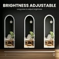 EDX Led 3 Color Lighting Full Body Mirror 60"x 16" Arched Floor Mirror