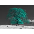 thumbnail image 2 of Frank, Assaf 14x11 White Modern Wood Framed Museum Art Print Titled - Tree on a hill-teal, 2 of 4