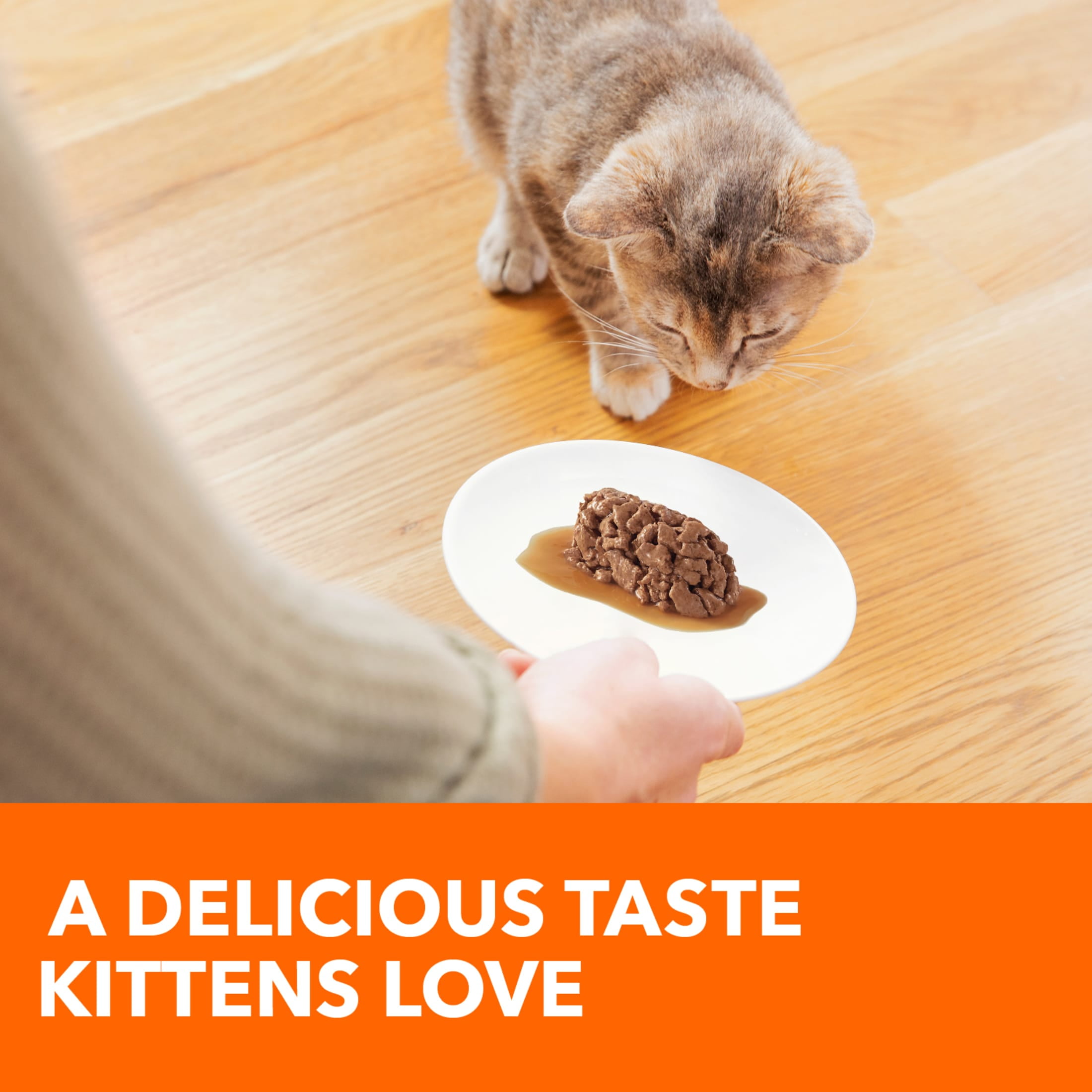 Iams Healthy Kitten Chicken Recipe Cuts In Gravy Wet Cat Food, 2.6 Oz Twin-Pack Tray