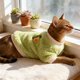 thumbnail image 5 of Ropa de invierno para mascotas de dos patas, cálida, suave y acogedora, para perros pequeños, medianos y gatos, para uso en interiores y exteriores. Ropa de poliéster para mascotas., 5 of 6