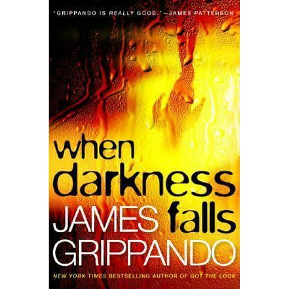 Pre-Owned When Darkness Falls (Jack Swyteck Novel) (Hardcover) 0060831138 9780060831134