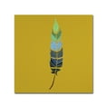 thumbnail image 2 of Trademark Fine Art "Plume 2" Canvas Art by Sylvie Demers, 2 of 4