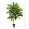 thumbnail image 2 of Nearly Natural 5' Areca Palm Artificial Tree (Real Touch), 2 of 3