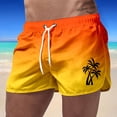 thumbnail image 1 of Shorts de Plage d'Été pour Hommes pour Voyage Décontracté, Polyester, Taille Imprimée Dégradée, Coupe Ample, 1 of 3