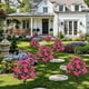 thumbnail image 4 of Arreglo Floral Artificial de Begonia para Exteriores, Patio, Maceta, Decoración de Simulación - Flores Artificiales de Plástico para El Hogar, Jardín, Balcón, Puerta, 55 Cm de Alto, 1 Unidad, 4 of 7