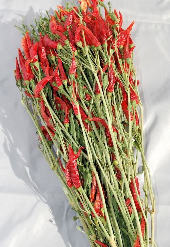 Dried Red Chili Peppers Bunch Red & Green 1518in. long, Amount Large 6