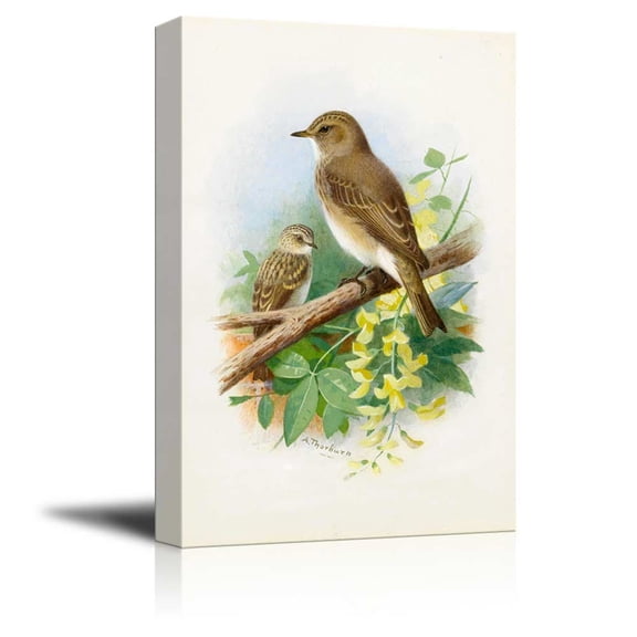 wall26 - Illustration of 2 Birds Perched onto a Tree Branch - Canvas Art Home Art - 24x36 inches
